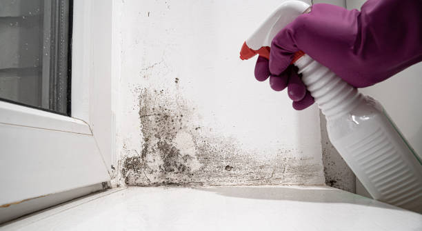 24/7 water damage repair in Vashon, WA